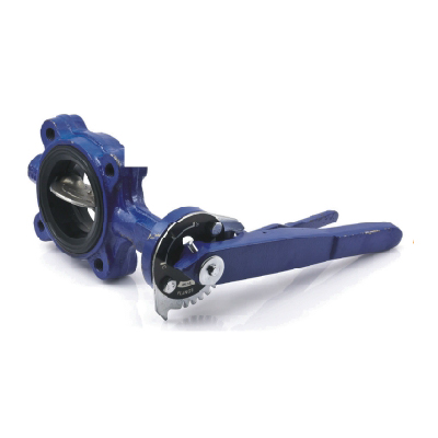 Rubber Lined Butterfly Valve India